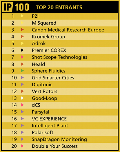 Metis Partners - IP100Top20Entrants