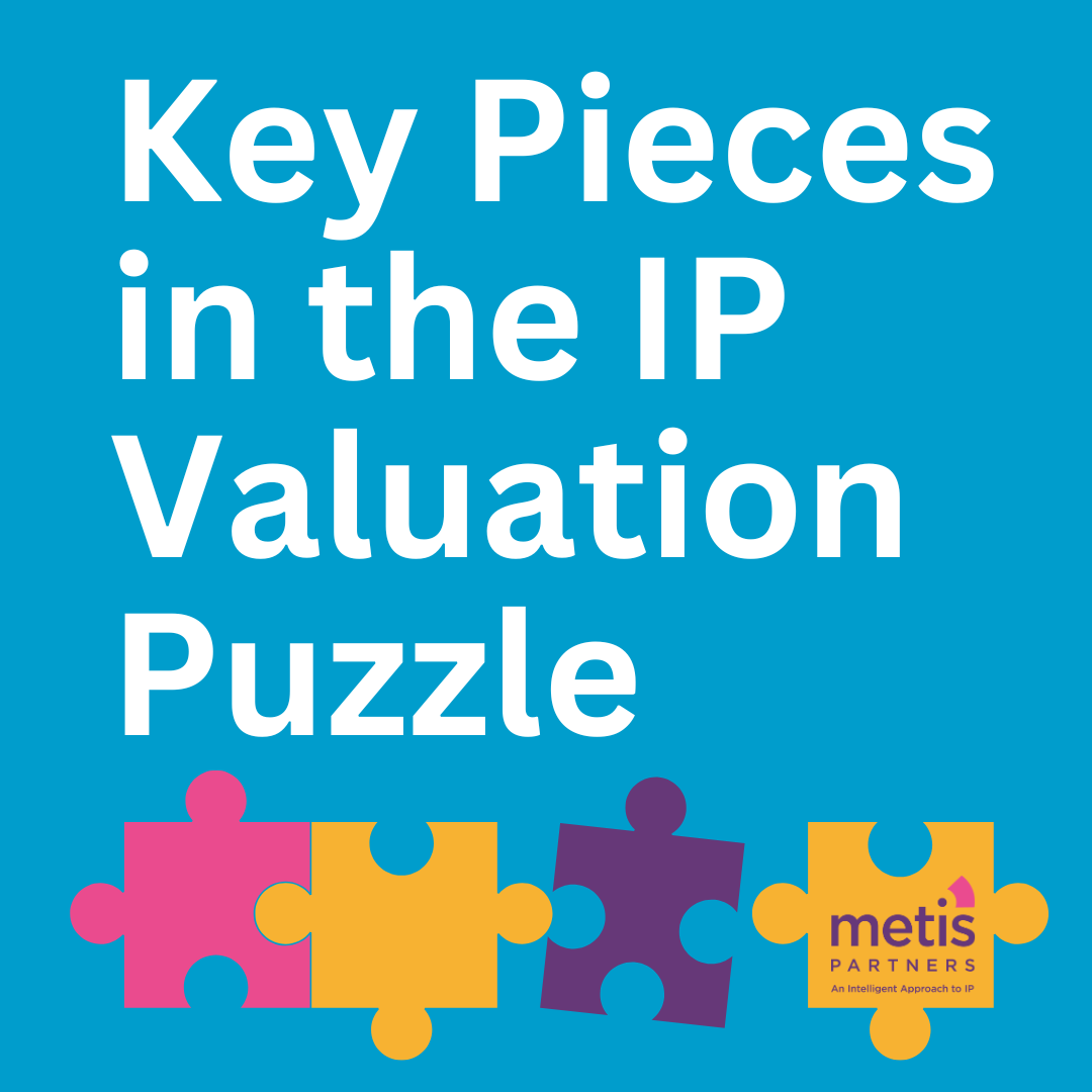 Key Pieces in the IP Valuation Puzzle Metis Partners